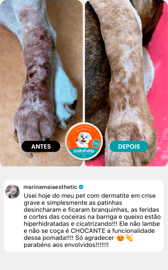 pata 2 (1)