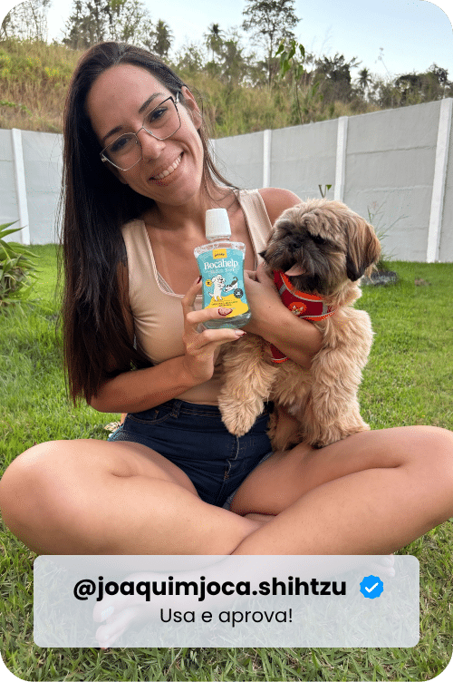 @joaquimjoca.shihtzu