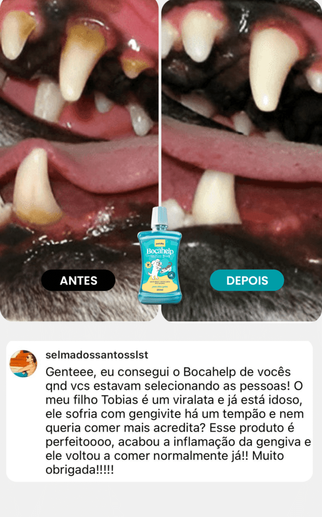 bocahelp-depoimento2