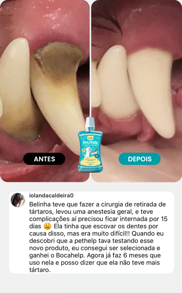 bocahelp-depoimento3