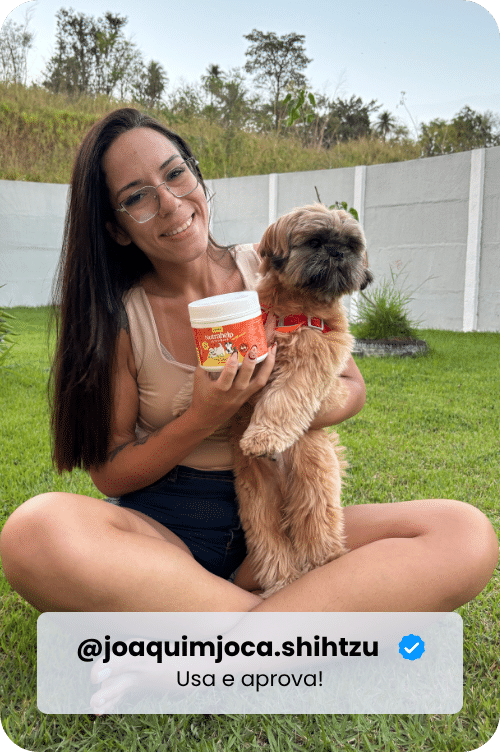 @joaquimjoca.shihtzu