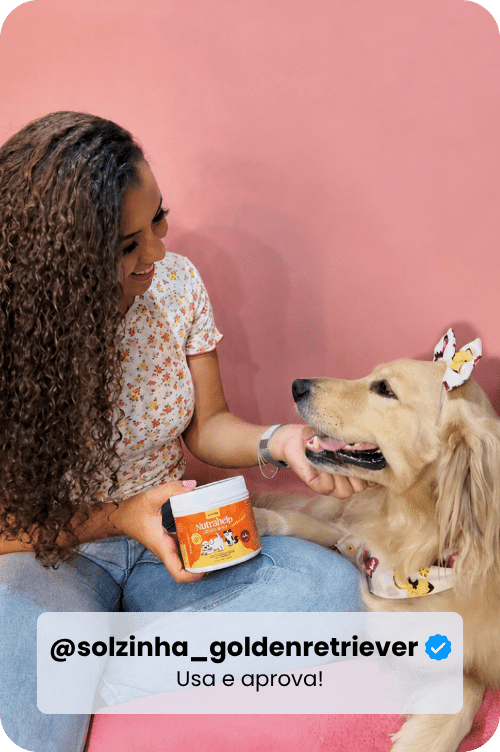 @solzinha_goldenretriever