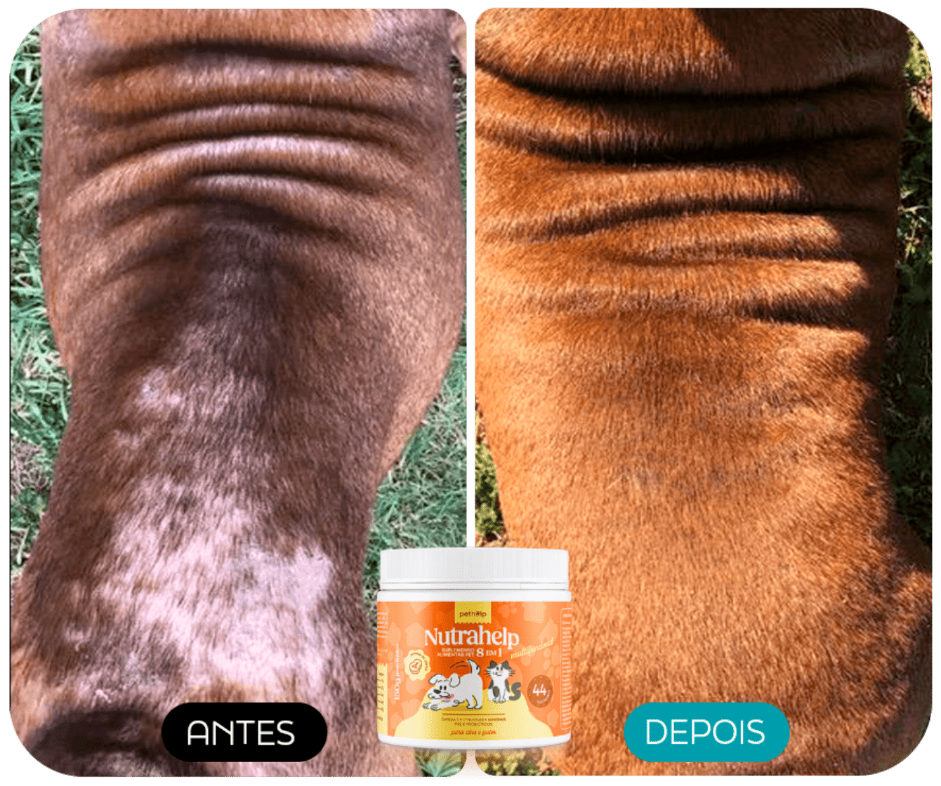ANTES E DEPOIS 1