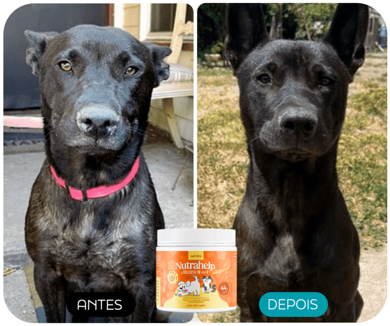 ANTES E DEPOIS 2