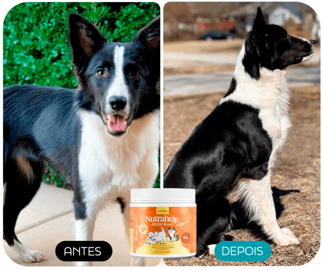 ANTES E DEPOIS 3