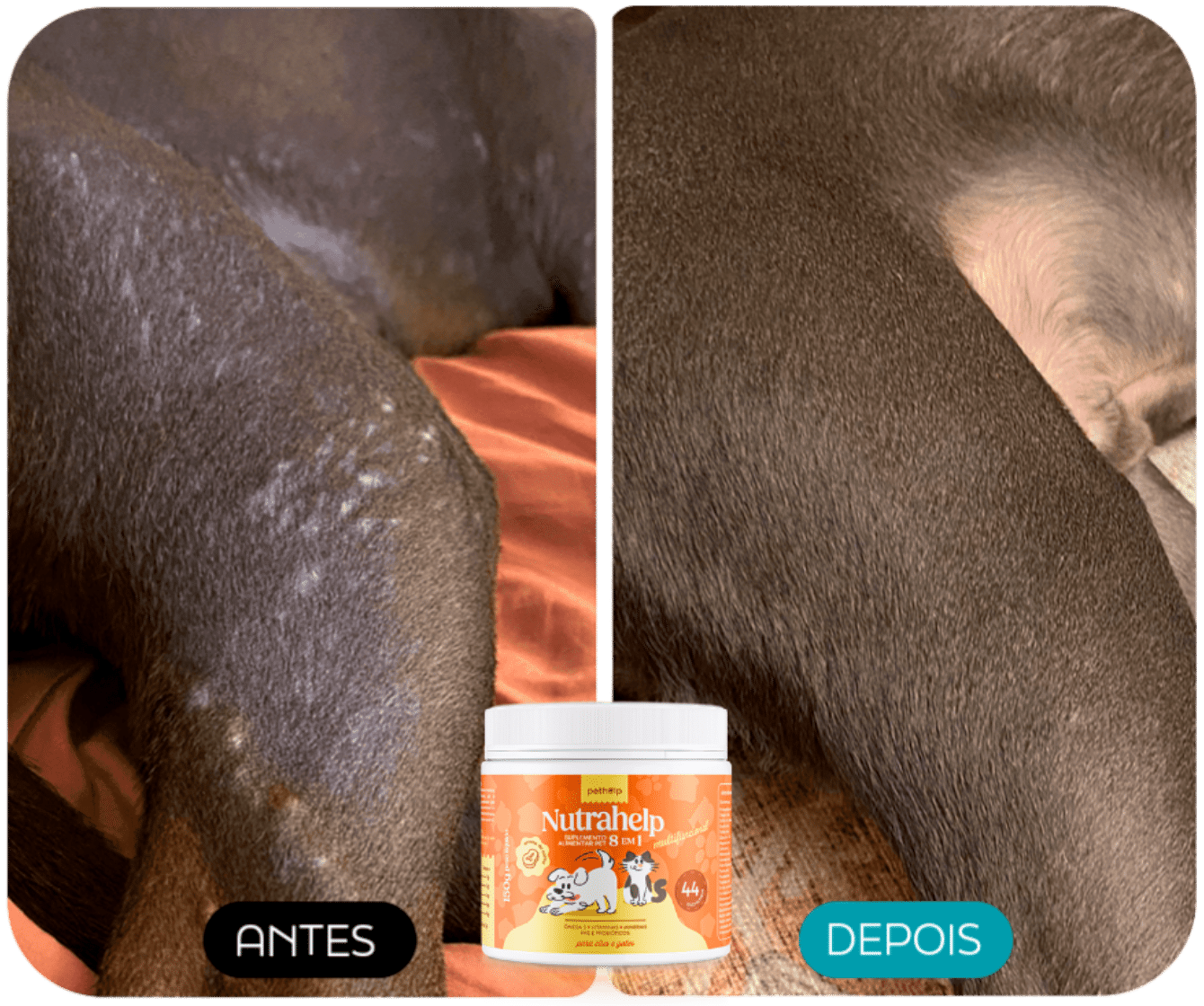 ANTES E DEPOIS 4