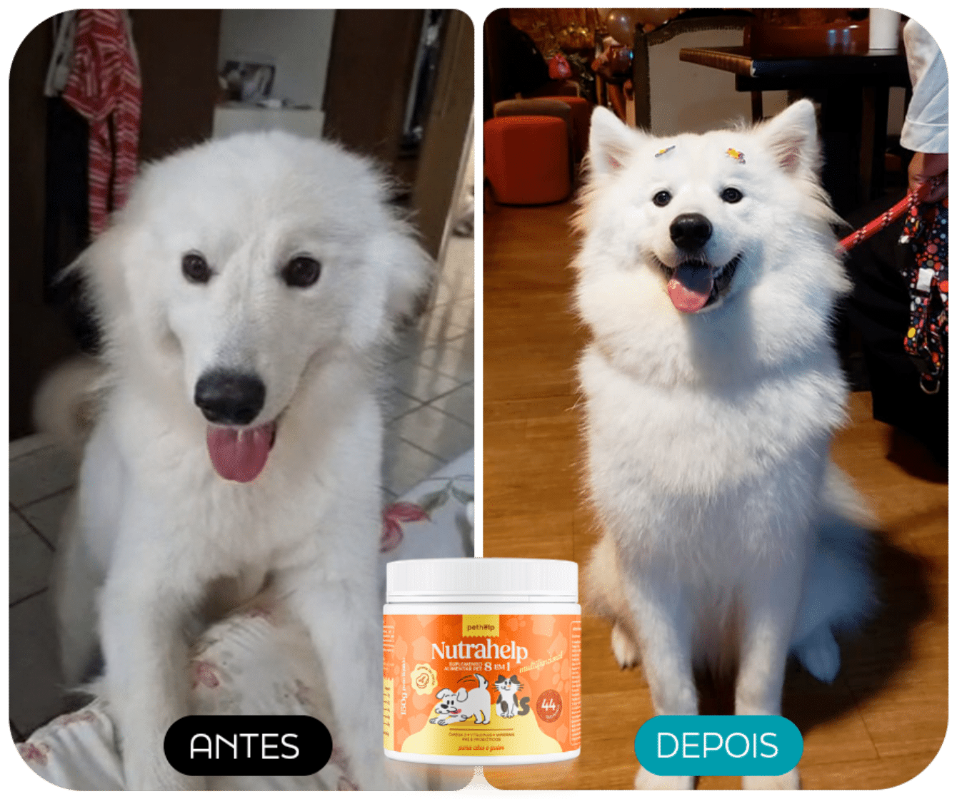 ANTES E DEPOIS 5