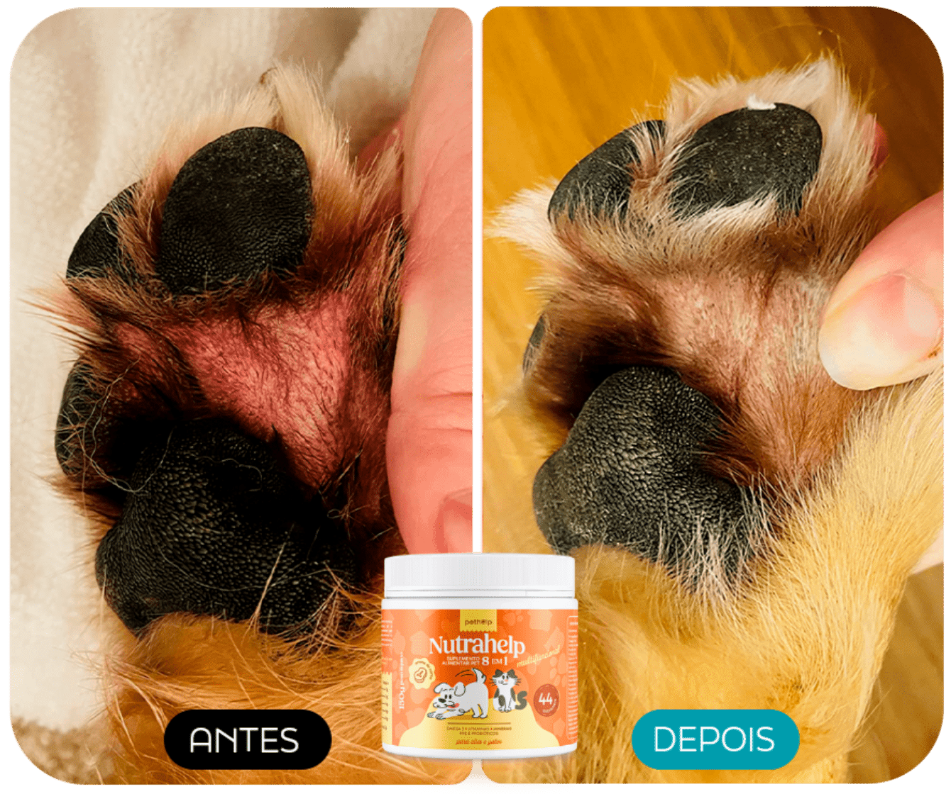 ANTES E DEPOIS 6