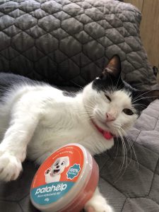 BIBI