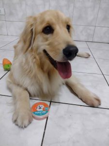 MOLLY